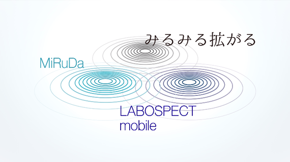 反応過程近似解析ツール MiRuDa